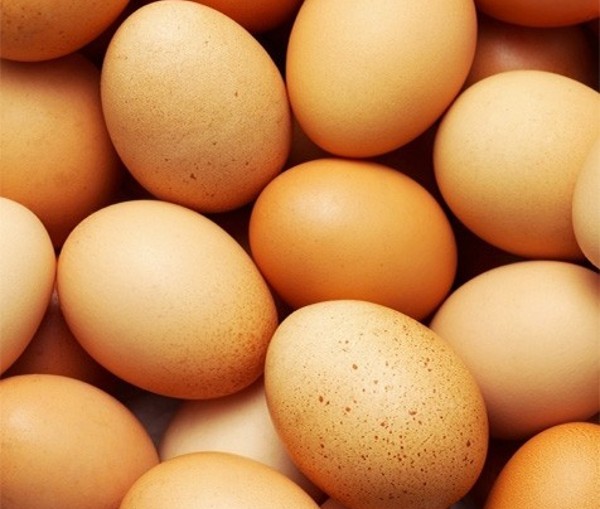 responsible sourcing eggs