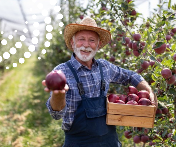 A farmer standing in a field with a crate of apples freshly picked