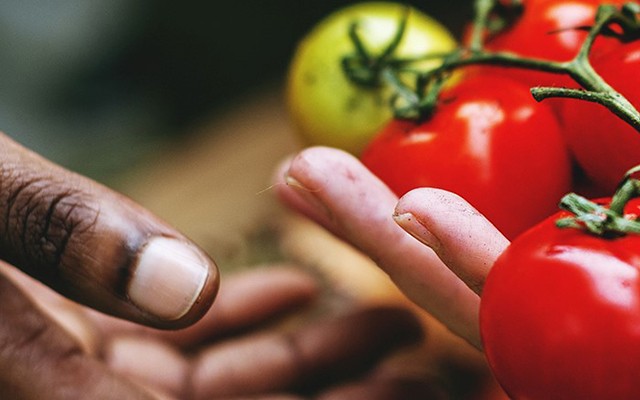 Sustainability make a difference teaser image of tomatoes in hands