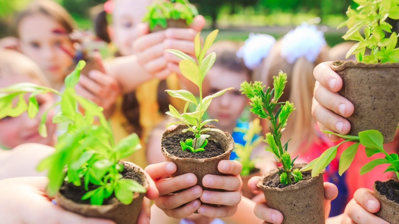 Children holding plants up to the camera