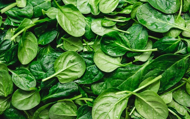 Reducing Food Waste