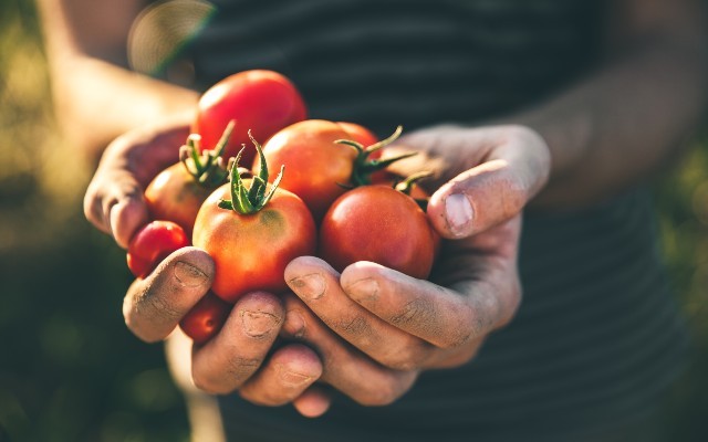 Responsible Sourcing