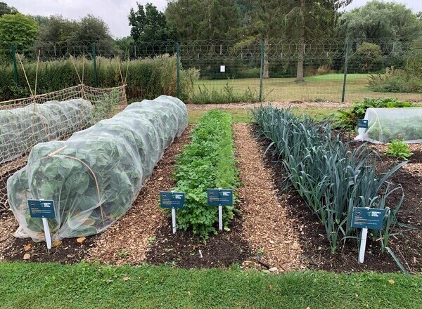 one-acre organic garden on site at the Defence Academy