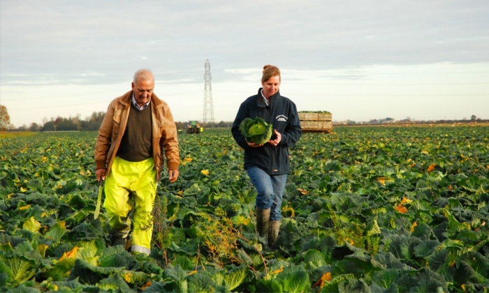 Farmer and grower