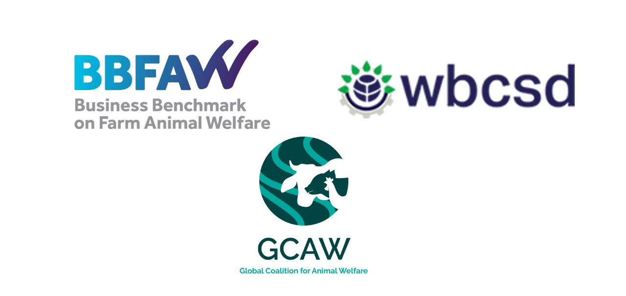 Partner logos including BBFAW, WBCSD and GCAW